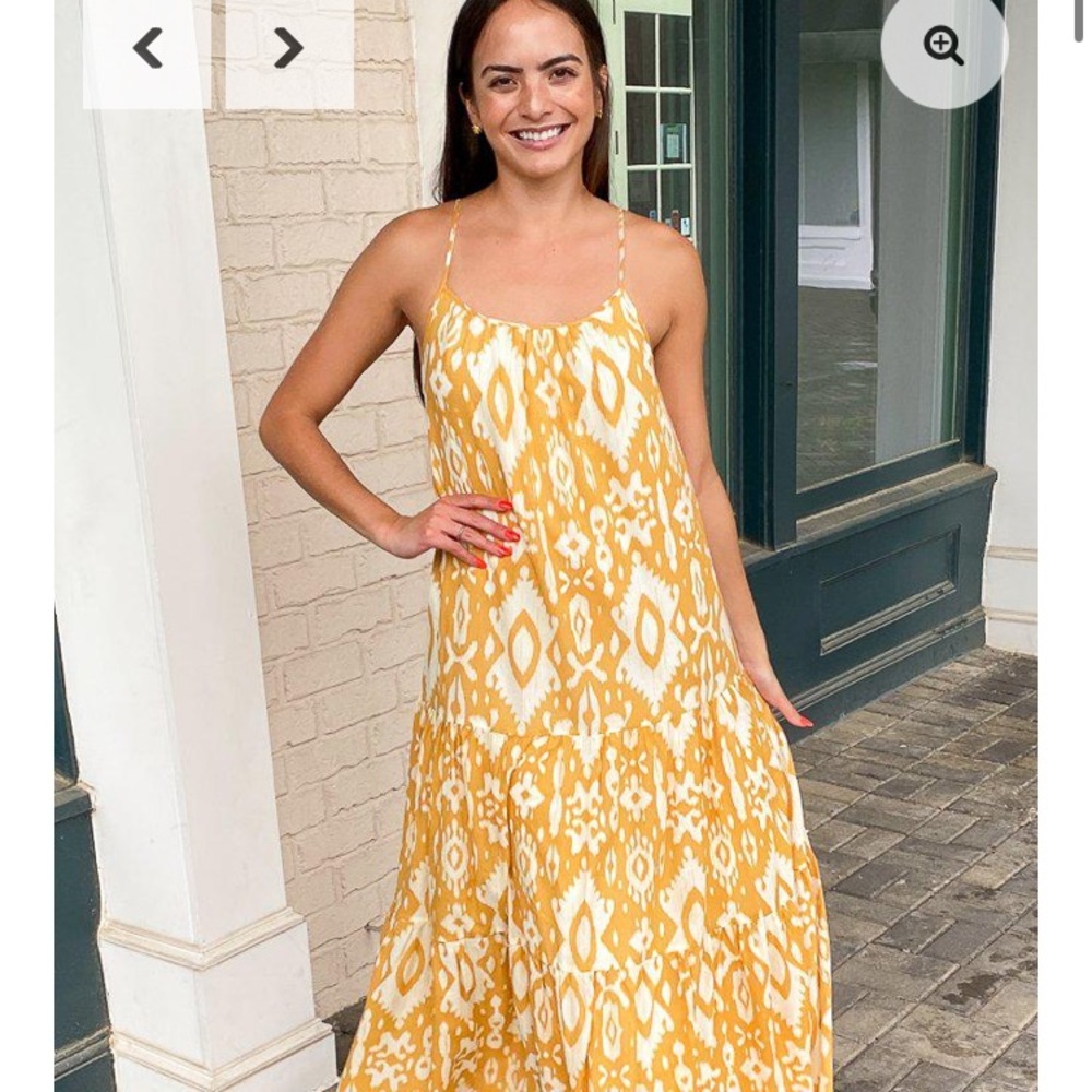 Bb Dakota dress NWT